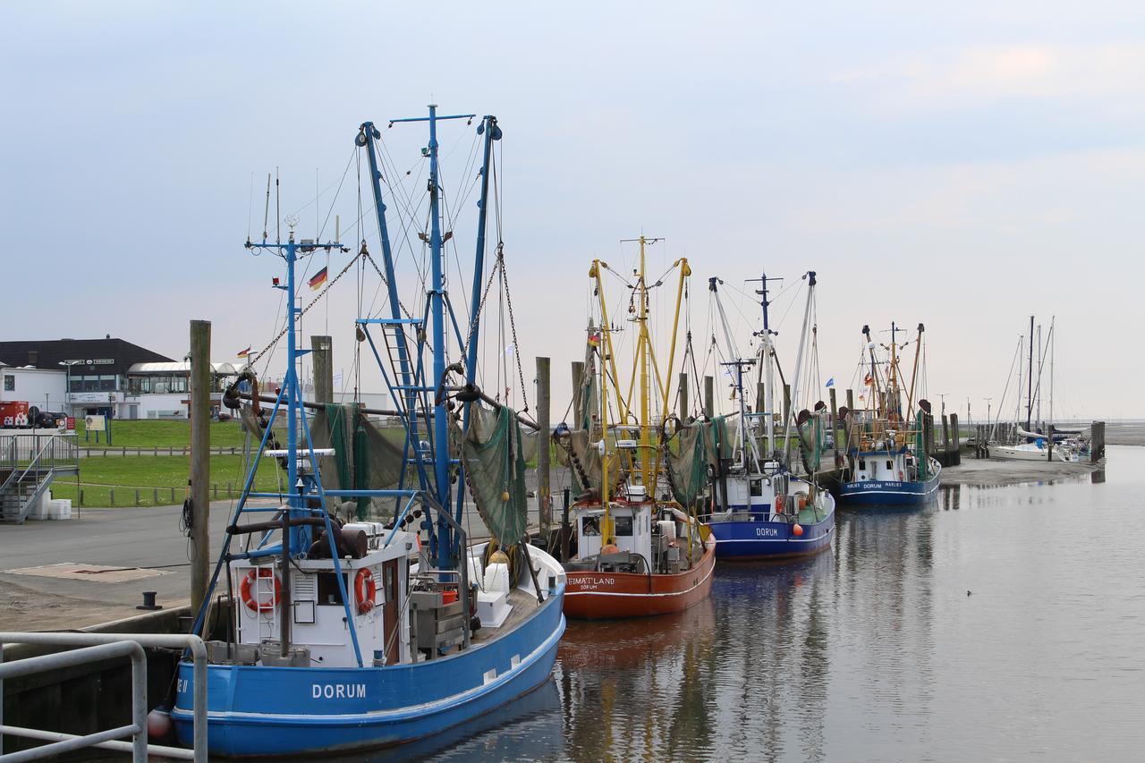 Ferienhaus Vogel - Dorum Neufeld - Nordsee Экстерьер фото